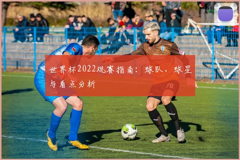 世界杯2022观赛指南：球队、球星与看点分析